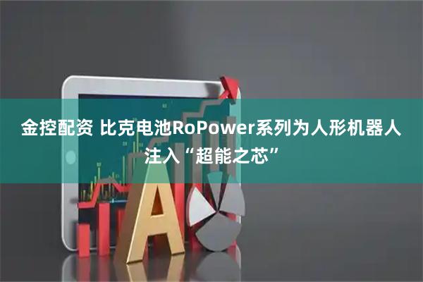 金控配资 比克电池RoPower系列为人形机器人注入“超能之芯”