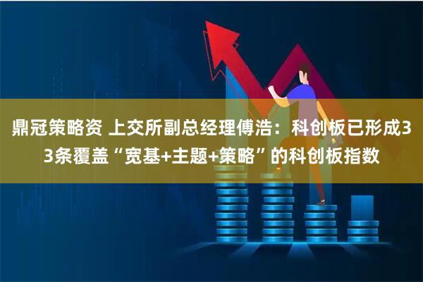 鼎冠策略资 上交所副总经理傅浩：科创板已形成33条覆盖“宽基+主题+策略”的科创板指数