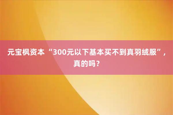 元宝枫资本 “300元以下基本买不到真羽绒服”，真的吗？