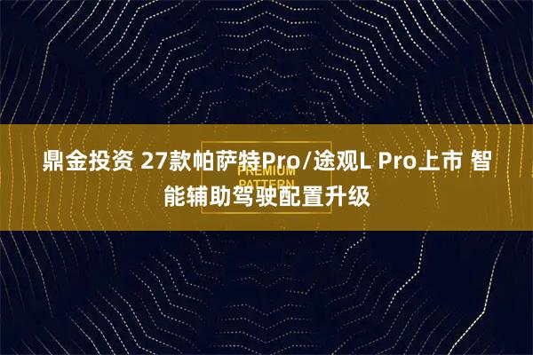 鼎金投资 27款帕萨特Pro/途观L Pro上市 智能辅助驾驶配置升级